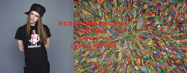 ПСИЛОЦИБИНОВЫЕ ГРИБЫ Бугульма
