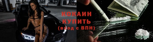 mix Бородино
