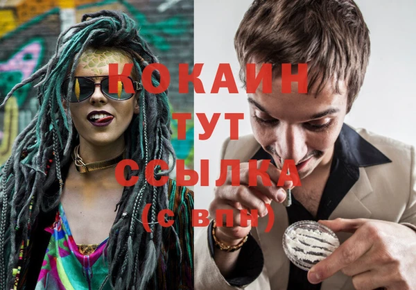 mix Бородино