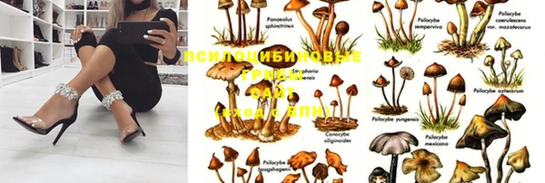 mix Бородино