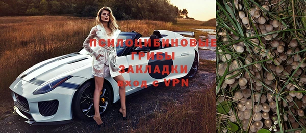 ПСИЛОЦИБИНОВЫЕ ГРИБЫ Бугульма