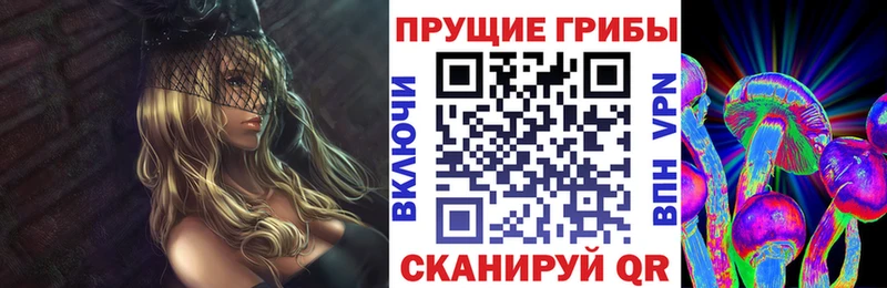 Купить где  Суздаль  Галлюциногенные грибы Psilocybine cubensis 